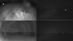 Sdružený snímek Bludný