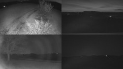 Sdružený snímek Bludný