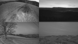 Sdružený snímek Bludný