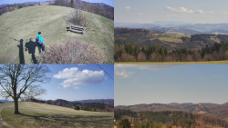 Sdružený snímek Bludný