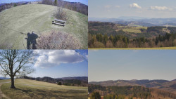 Sdružený snímek Bludný