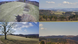 Sdružený snímek Bludný