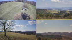 Sdružený snímek Bludný