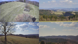 Sdružený snímek Bludný