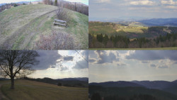 Sdružený snímek Bludný