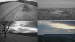 Sdružený snímek Bludný