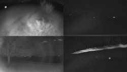 Sdružený snímek Bludný