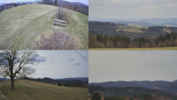 Sdružený snímek Bludný