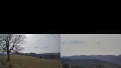 Sdružený snímek Bludný