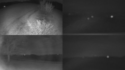 Sdružený snímek Bludný