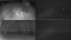 Sdružený snímek Bludný