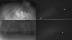 Sdružený snímek Bludný