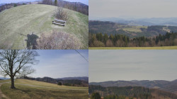 Sdružený snímek Bludný