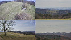 Sdružený snímek Bludný