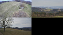 Sdružený snímek Bludný