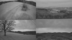 Sdružený snímek Bludný