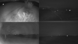 Sdružený snímek Bludný