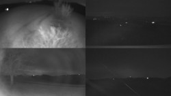 Sdružený snímek Bludný