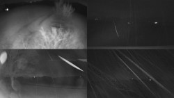 Sdružený snímek Bludný