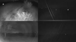 Sdružený snímek Bludný