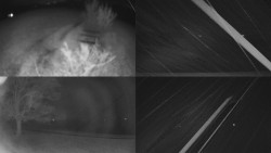 Sdružený snímek Bludný