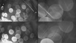 Sdružený snímek Bludný