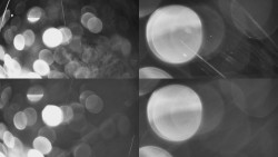 Sdružený snímek Bludný