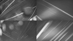 Sdružený snímek Bludný