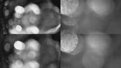 Sdružený snímek Bludný