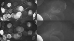 Sdružený snímek Bludný