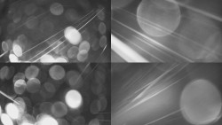 Sdružený snímek Bludný