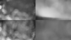 Sdružený snímek Bludný