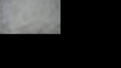 Sdružený snímek Bludný