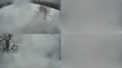 Sdružený snímek Bludný