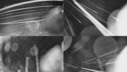 Sdružený snímek Bludný