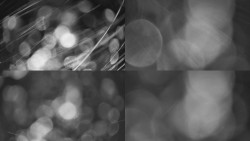 Sdružený snímek Bludný