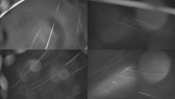 Sdružený snímek Bludný