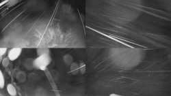 Sdružený snímek Bludný