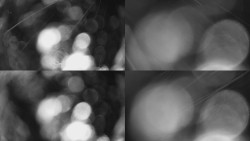 Sdružený snímek Bludný