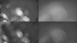 Sdružený snímek Bludný