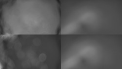 Sdružený snímek Bludný