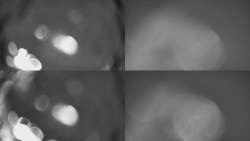 Sdružený snímek Bludný