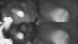 Sdružený snímek Bludný