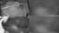 Sdružený snímek Bludný