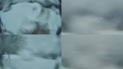 Sdružený snímek Bludný