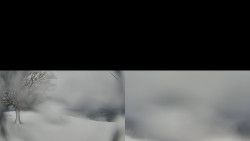 Sdružený snímek Bludný