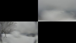 Sdružený snímek Bludný