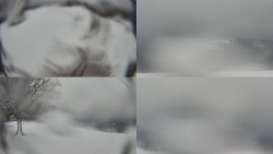 Sdružený snímek Bludný