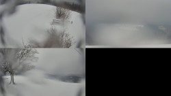 Sdružený snímek Bludný