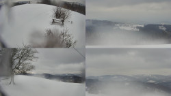 Sdružený snímek Bludný